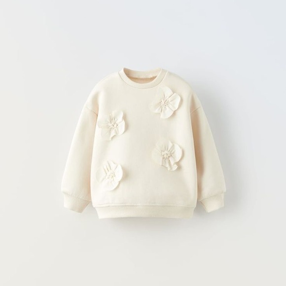 Zara Other - Light pink Zara Sweatshirt with Floral Appliques